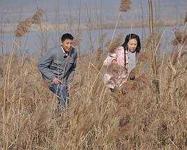 电影：天鹅城之恋