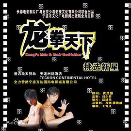 电影:龙拳天下
