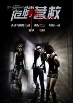 电影：危情拯救