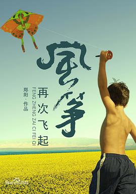 电影:风筝再次飞起