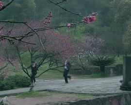 电影:梦寻桃花源