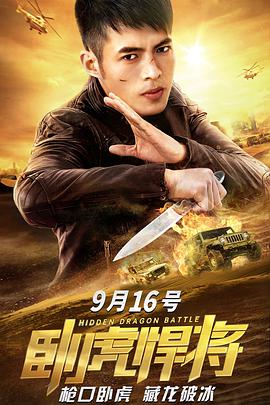 电影:卧虎悍将