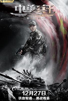 电影:中华兵王之警戒时刻
