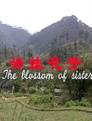 电影:姊妹花开