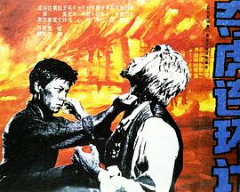 电影：夺虎连环计