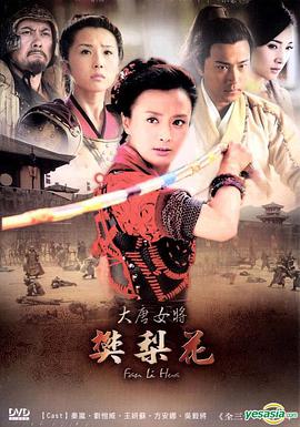 电影：大唐女将樊梨花