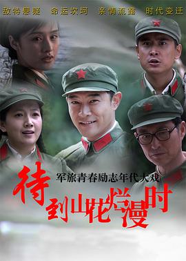 电影:待到山花烂漫时