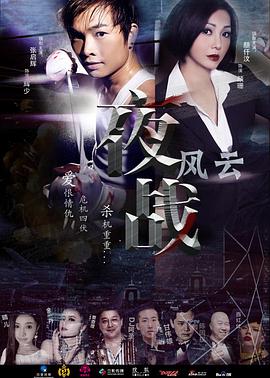 电影:夜战风云