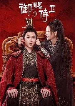 电影:御赐小侍卫