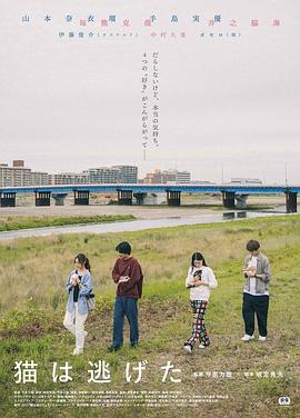 电影：猫猫逃走了