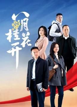 电影：八月桂花开