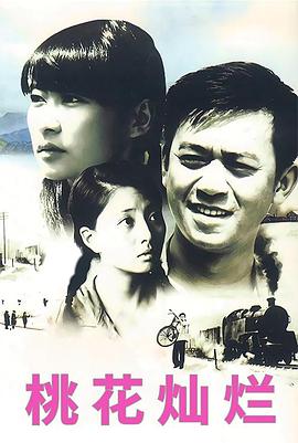 电影：桃花灿烂(2007)