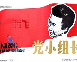 电影：党小组长