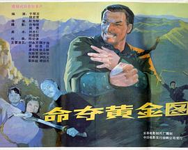 电影:命夺黄金图
