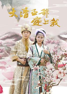 电影:大清王爷爱上我