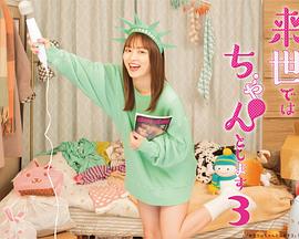 电影:下辈子我再好好过第三季