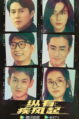 电影:纵有疾风起