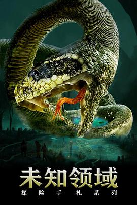 电影:探险手札之未知领域