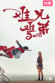 电影：难兄难弟2018