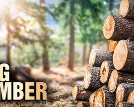 电影:终极伐木达人第二季