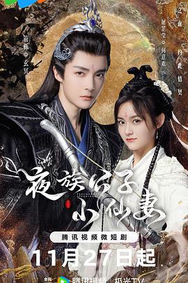 电影：夜族公子小仙妻