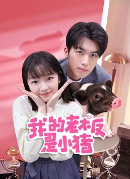 电影:我的老板是小猪