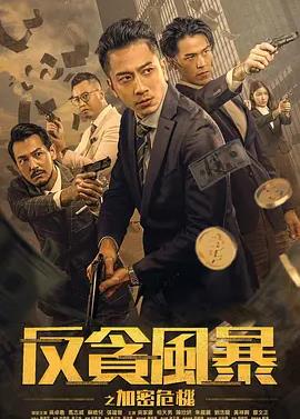 电影：反贪风暴之加密危机