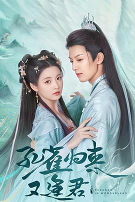 电影:孔雀圣使请动心