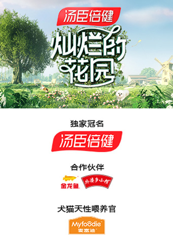 电影:灿烂的花园