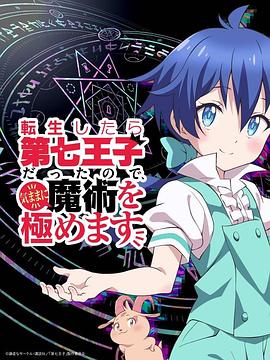 电影:转生七王子的魔法全解