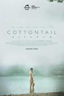 电影：棉尾兔