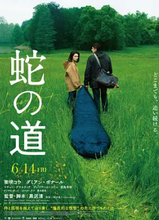 电影:蛇之道2024