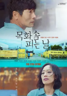 电影：棉花开花的日子