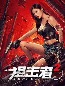 电影：狙击者2