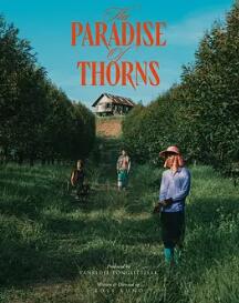 电影：荆棘天堂