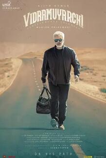 电影：坚毅奇兵