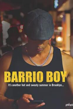 电影：巴里奥男孩