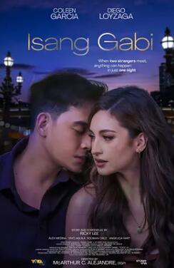 电影:一夜风流2024