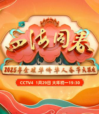 电影：2025全球华侨华人春节大联欢