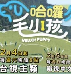 电影:哈啰!毛小孩