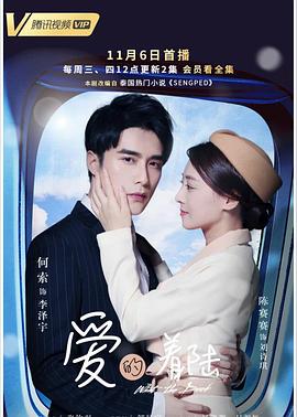 电影：爱的着陆