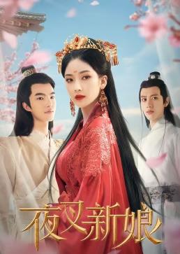 电影:夜叉新娘