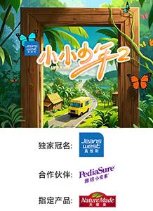 电影:小小少年第二季