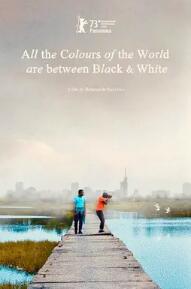 电影：黑白之间是彩色世界