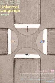 电影:共同的语言