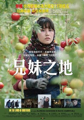 电影:同一片土地