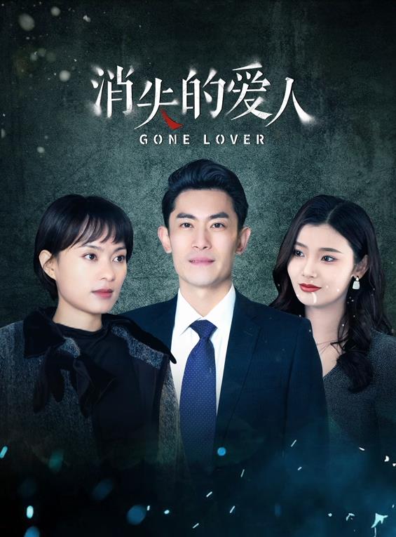 电影:消失的爱人2025