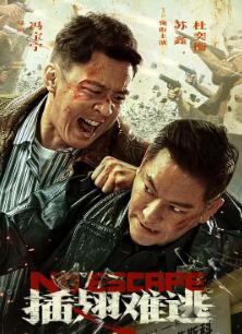 电影:插翅难逃2025