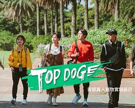 电影:TOP DOG