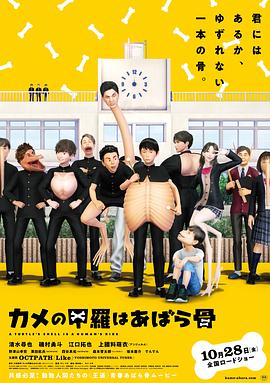 电影：乌龟的壳其实是肋骨